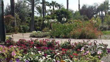 vivai_borgo_natura