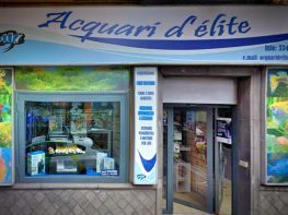 acquari_delite