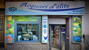 acquari_delite