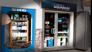 happy-acquarium-1